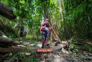 BIB: 
                            <button type="button" onclick="openModal(19393409)" class="btn btn-primary btn-sm float-right btn-popup" data-toggle="modal" data-target=".modal-high-quality">
                        <i class="fas fa-shopping-cart"></i> Add to Cart
                    </button>
                                            <button type="button" onclick="isThisMe(19393409, true)" class="btn btn-success btn-sm float-right btn-popup btn-isme hidden" data-toggle="tooltip" data-placement="bottom" title="นี่คือรูปของคุณใช่ไหม คลิกที่นี่เพื่อเอาเข้าอัลบั้ม">
                        <i class="fas fa-plus"></i> Add to album
                    </button>
                    <button type="button" onclick="isThisMe(19393409, false)" class="btn btn-warning btn-sm float-right btn-popup btn-isnotme hidden">
                        <i class="fas fa-ban"></i> Remove from album
                    </button>